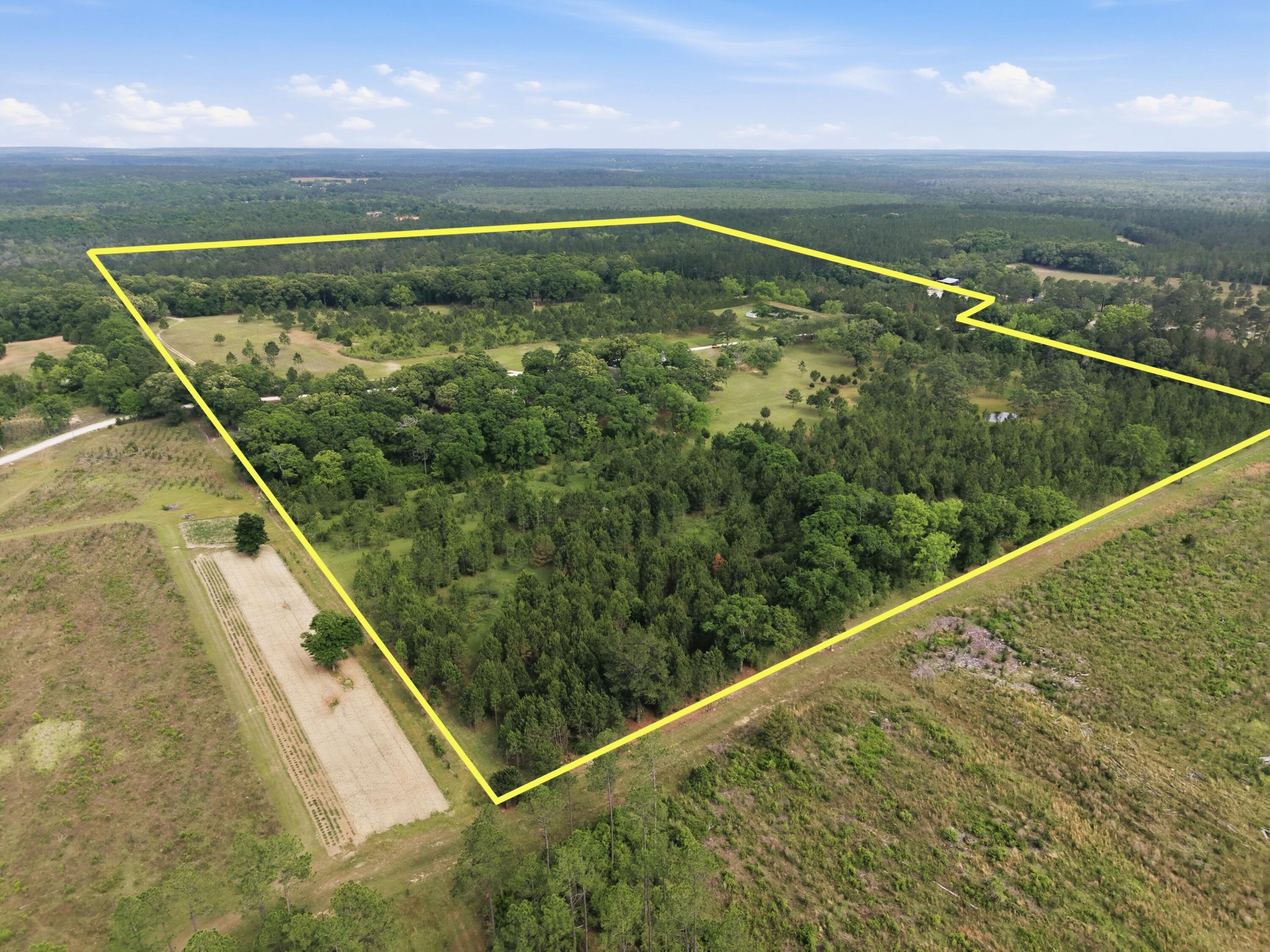 261 Wilkerson Road DeFuniak Springs, FL 32433 - Photo 14 of 76 DJI_20260429153904_0045_D