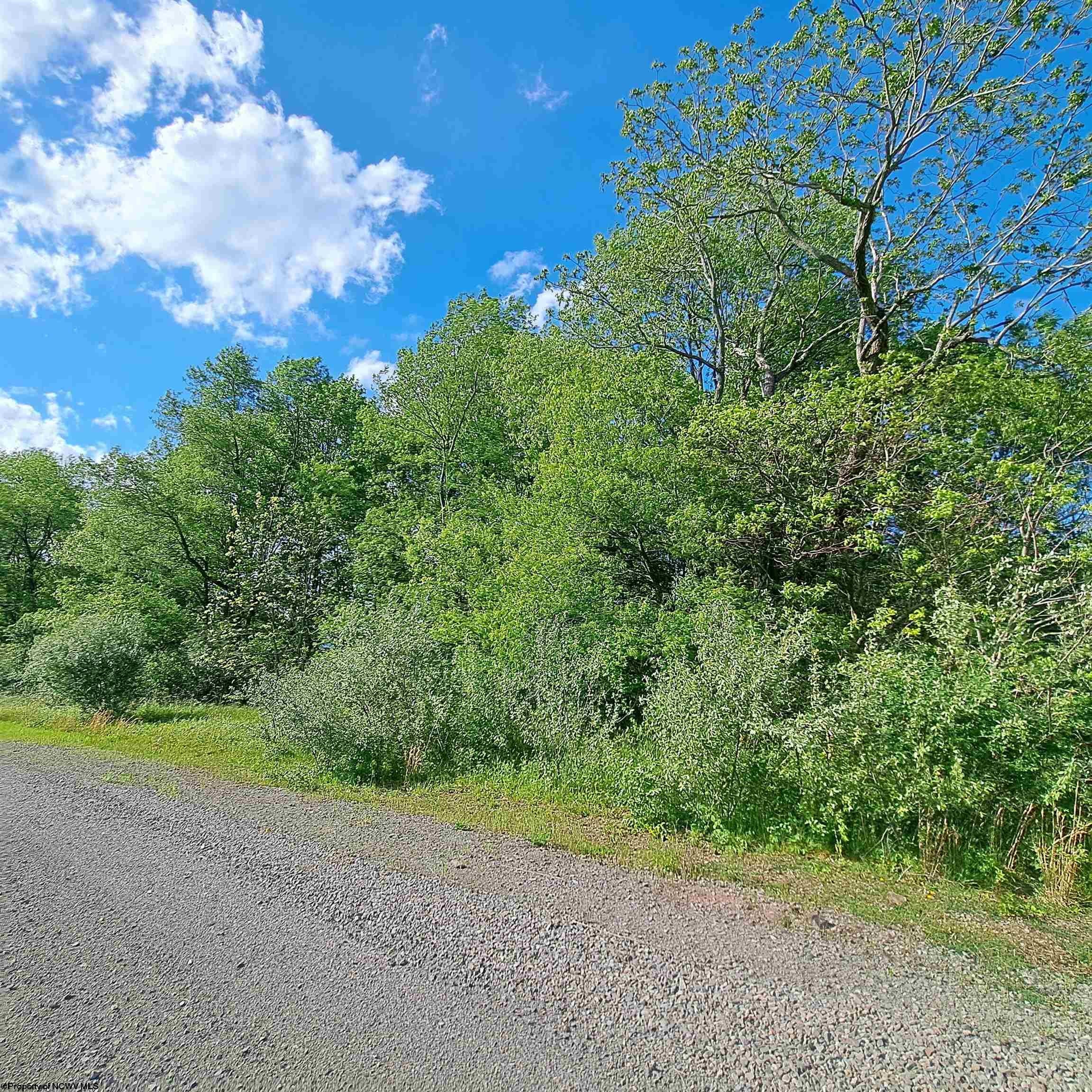 Tbd Hudson Mill Road Albright, WV 26519 - Photo 1 of 10 Gallery Image 1