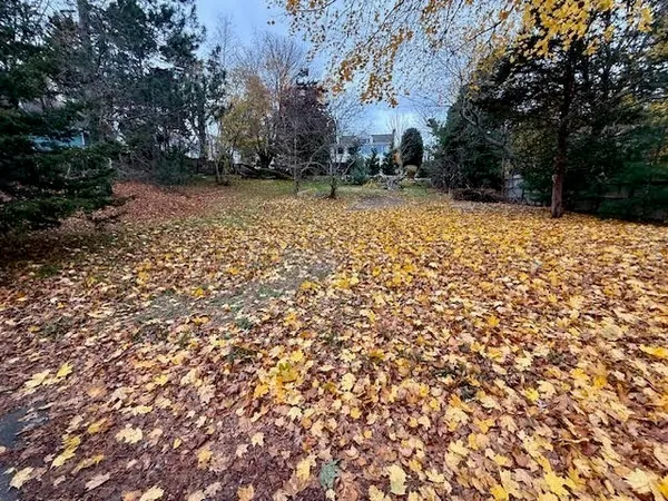 a view of a yard with trees