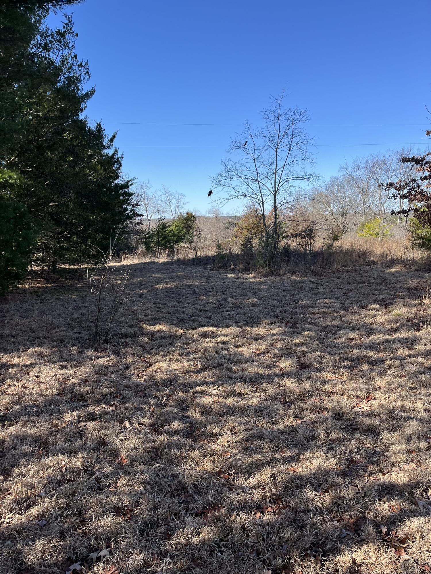 0 Walkers Well Road Chatham, VA 24531 - Photo 1 of 4 a view of dirt yard with a large tree