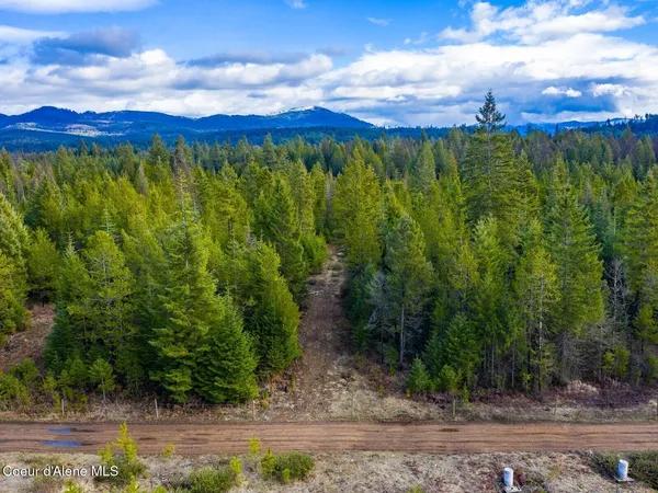 $499,900 | 49 Zig Zag Way, Athol, ID 83801