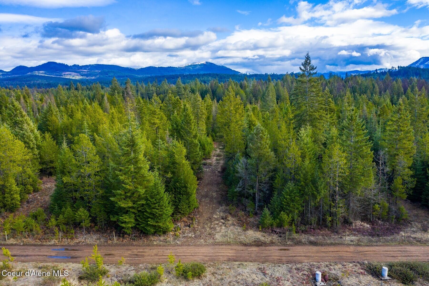 49 Zig Zag Way Athol, ID 83801 - Photo 19 of 73 Back 5 acres