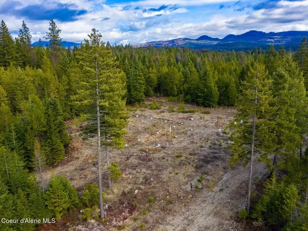 $499,900 | 49 Zig Zag Way, Athol, ID 83801