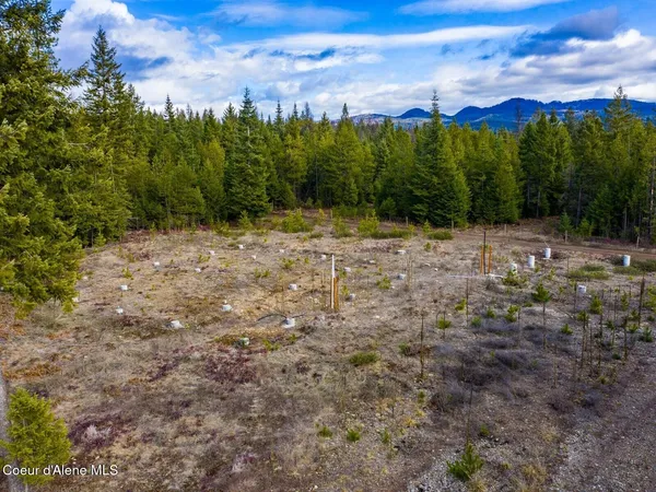 $499,900 | 49 Zig Zag Way, Athol, ID 83801