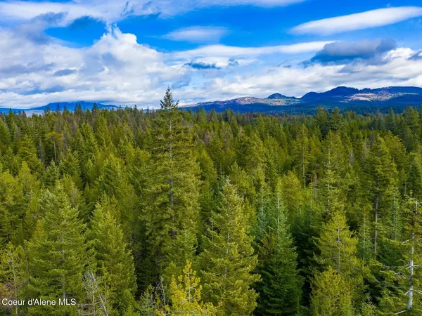 $499,900 | 49 Zig Zag Way, Athol, ID 83801