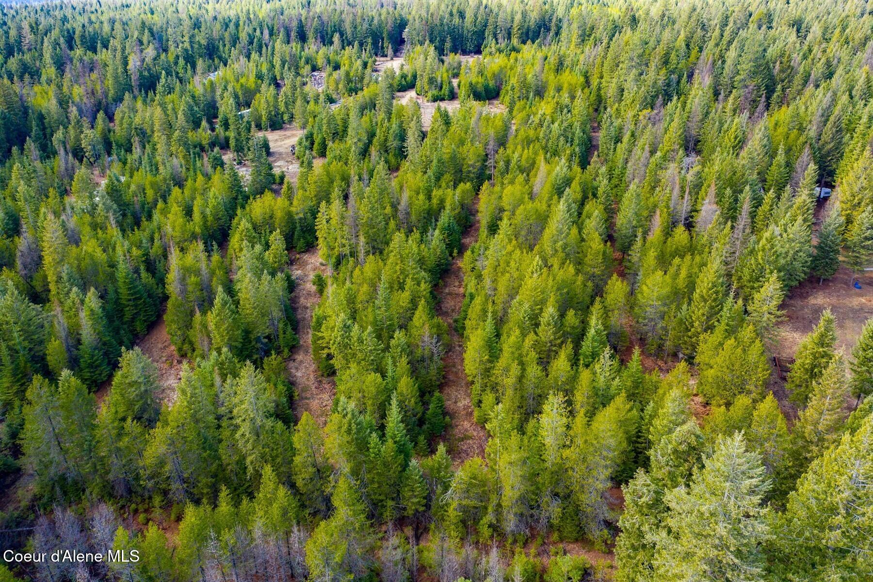 49 Zig Zag Way Athol, ID 83801 - Photo 35 of 73 Back 5 acres