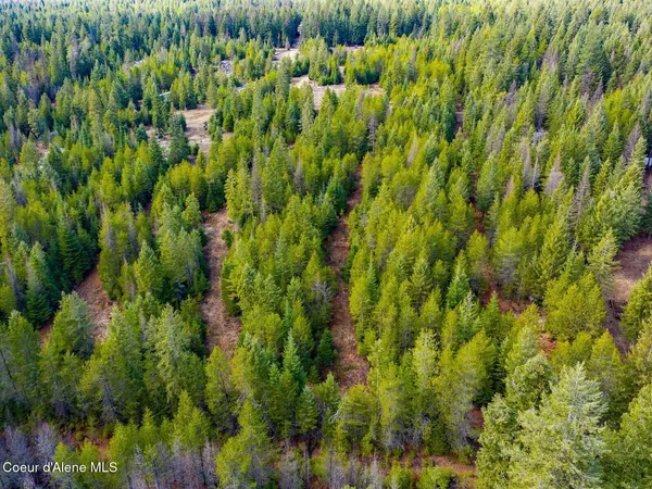 $499,900 | 49 Zig Zag Way, Athol, ID 83801
