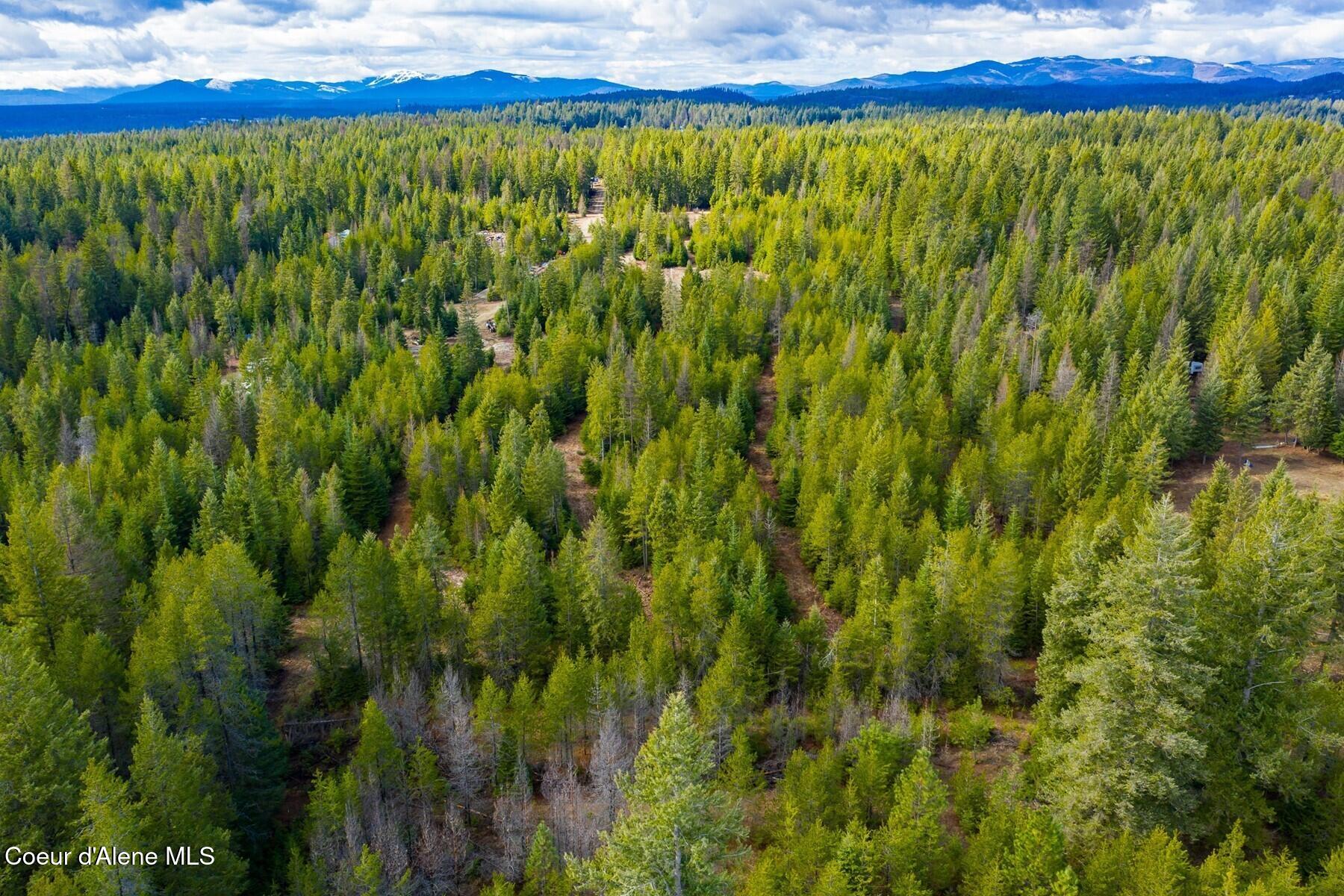 49 Zig Zag Way Athol, ID 83801 - Photo 40 of 73 86198450