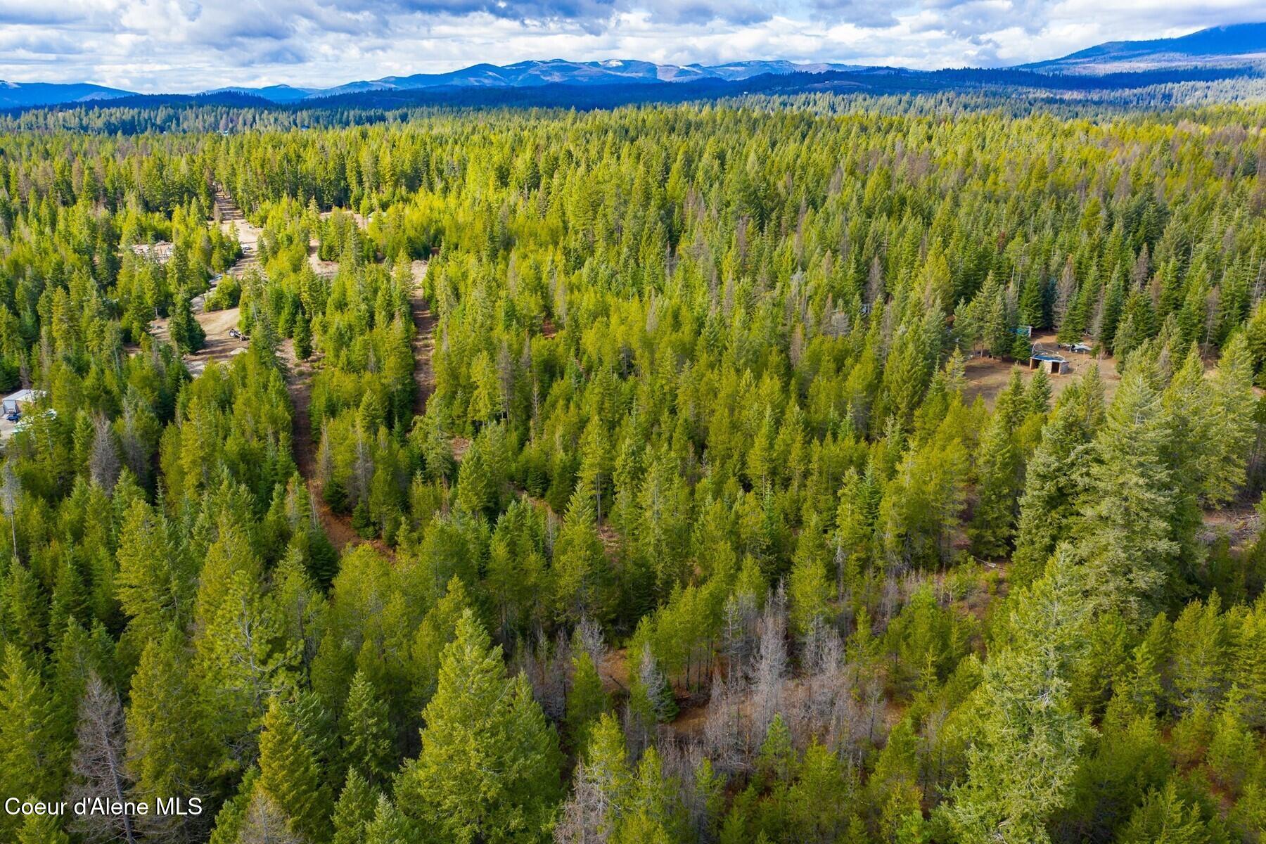 49 Zig Zag Way Athol, ID 83801 - Photo 41 of 73 86198451