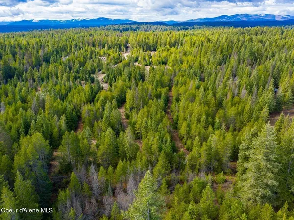 $499,900 | 49 Zig Zag Way, Athol, ID 83801