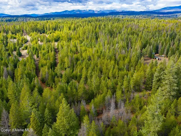 $499,900 | 49 Zig Zag Way, Athol, ID 83801