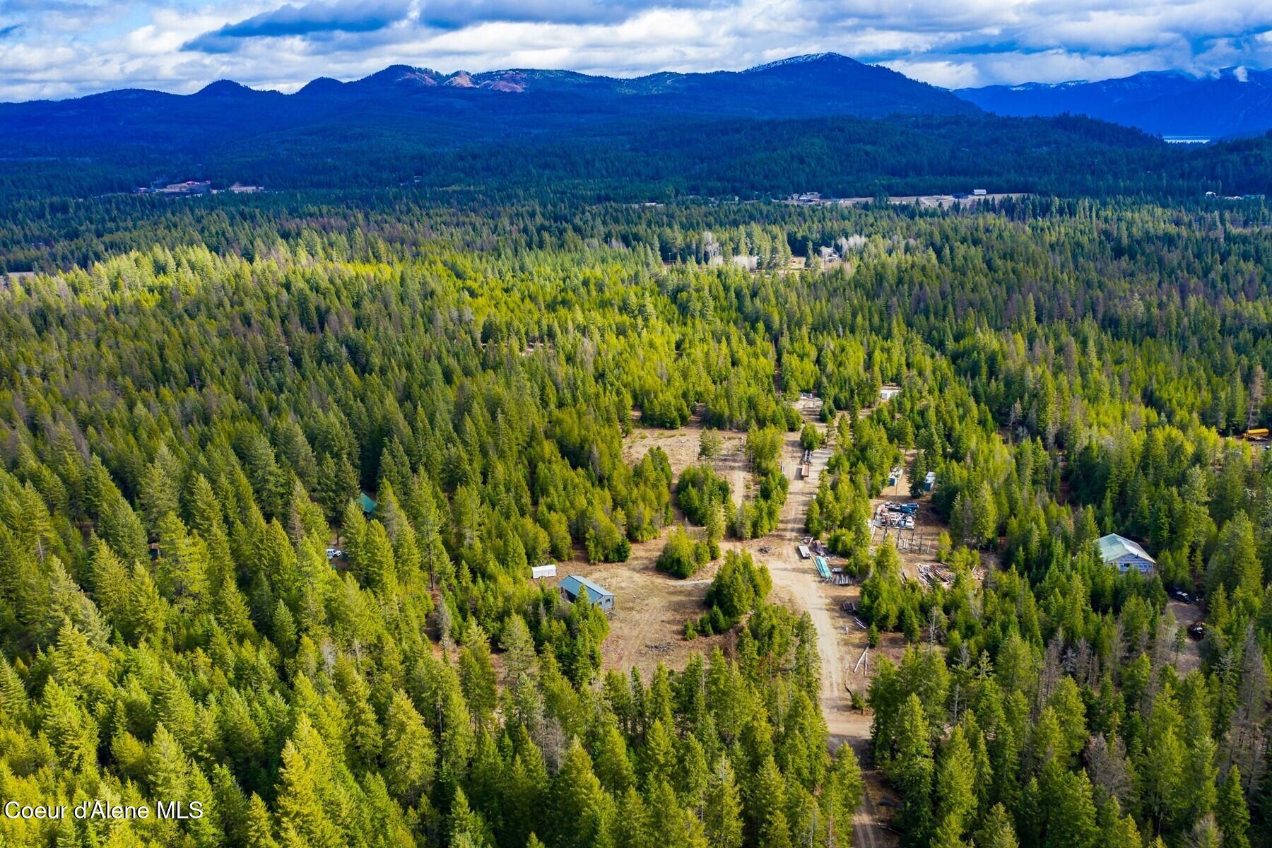 49 Zig Zag Way Athol, ID 83801 - Photo 45 of 73 _86198457