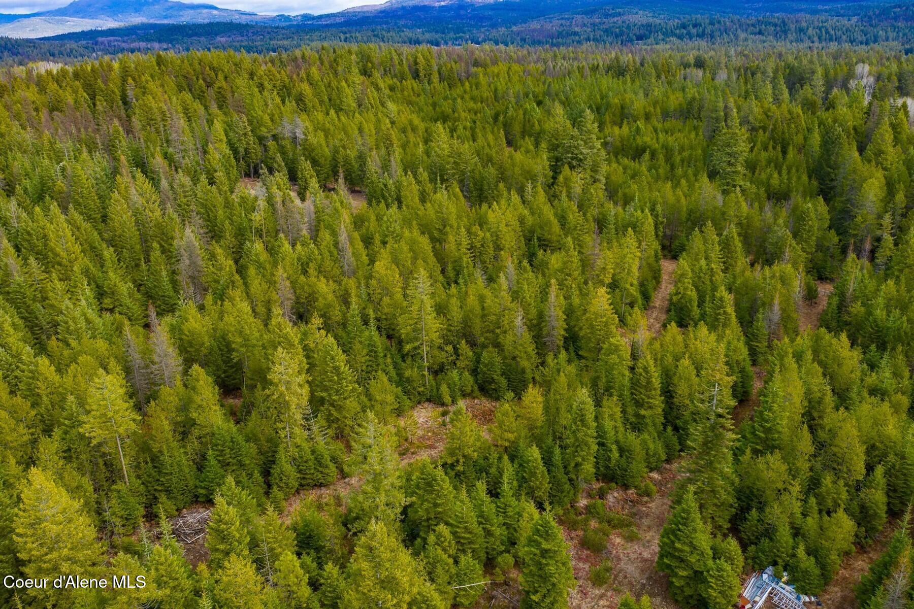 49 Zig Zag Way Athol, ID 83801 - Photo 51 of 73 86198473