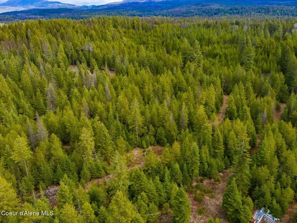 $499,900 | 49 Zig Zag Way, Athol, ID 83801