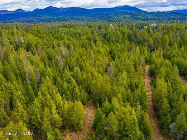 $499,900 | 49 Zig Zag Way, Athol, ID 83801