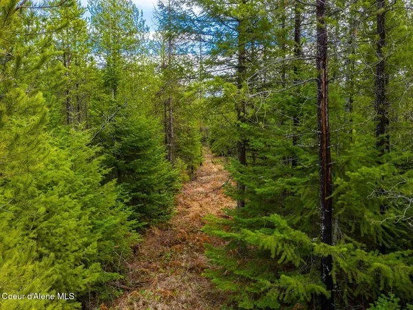 $499,900 | 49 Zig Zag Way, Athol, ID 83801