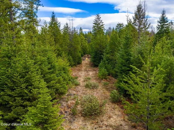 $499,900 | 49 Zig Zag Way, Athol, ID 83801