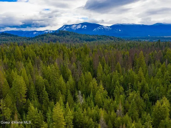 $499,900 | 49 Zig Zag Way, Athol, ID 83801