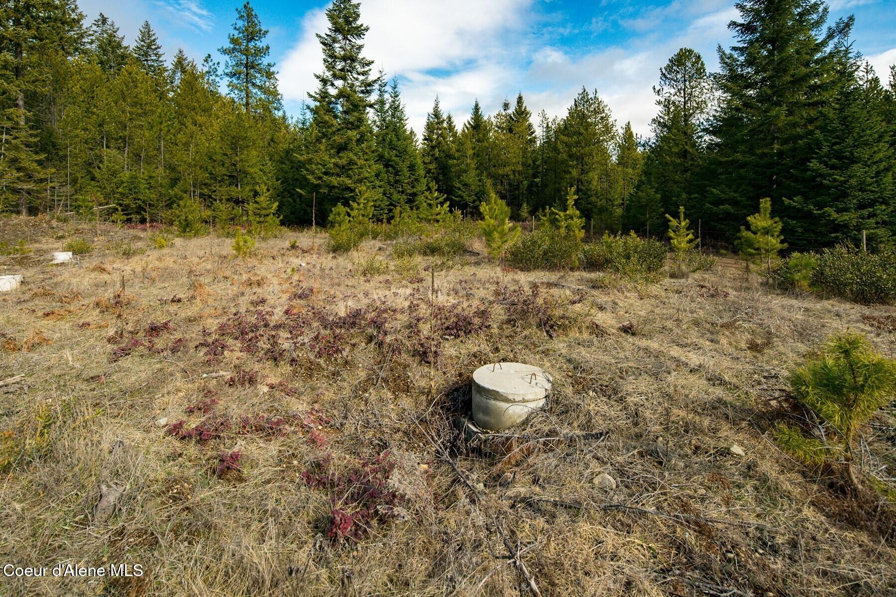 49 Zig Zag Way Athol, ID 83801 - Photo 70 of 73 86198500