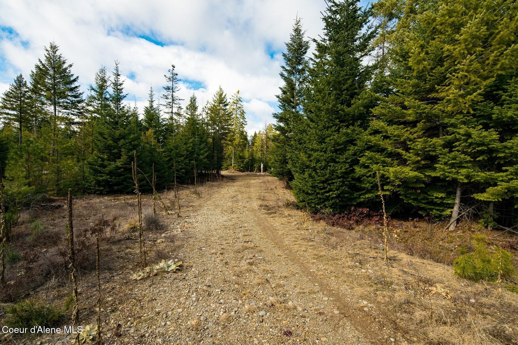 49 Zig Zag Way Athol, ID 83801 - Photo 72 of 73 86198502