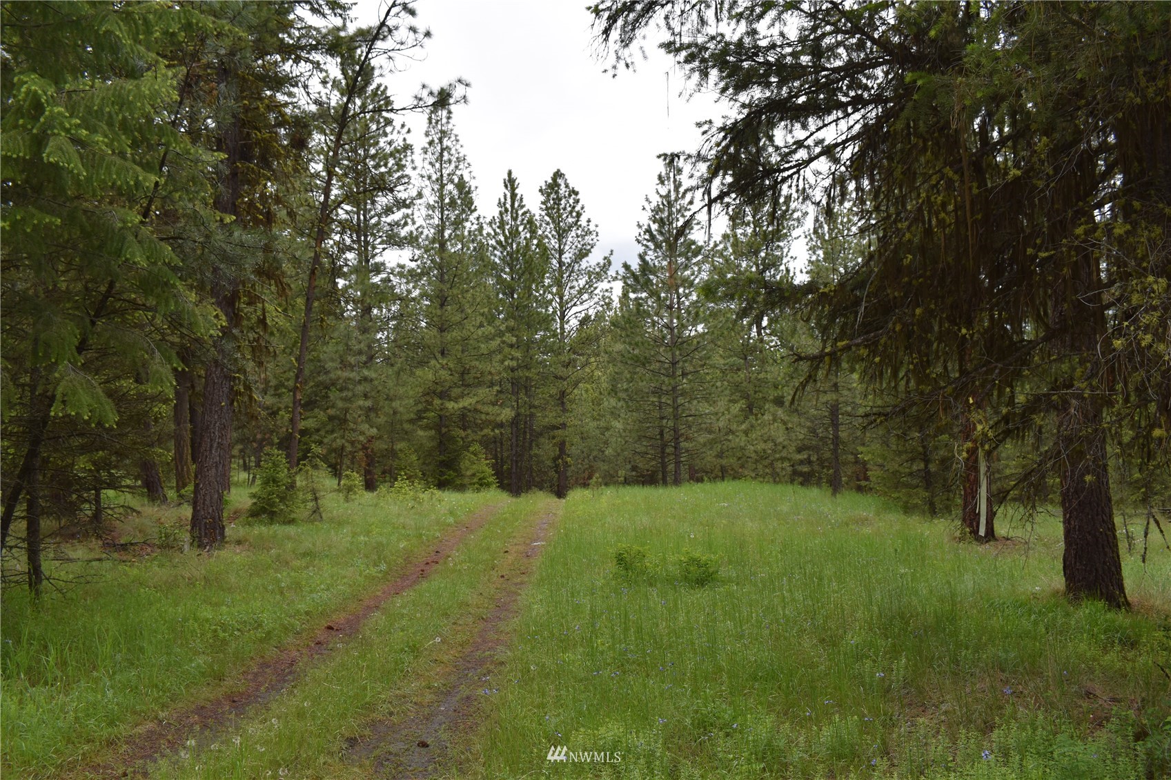 12-lot Turtle Run Road Tonasket, WA 98855 - Photo 1 of 40 a view of an outdoor space with a lake view