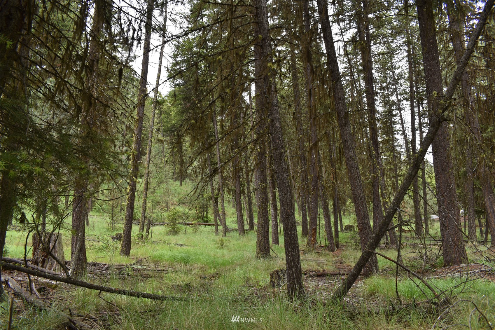 12-lot Turtle Run Road Tonasket, WA 98855 - Photo 16 of 40 a view of backyard with green space