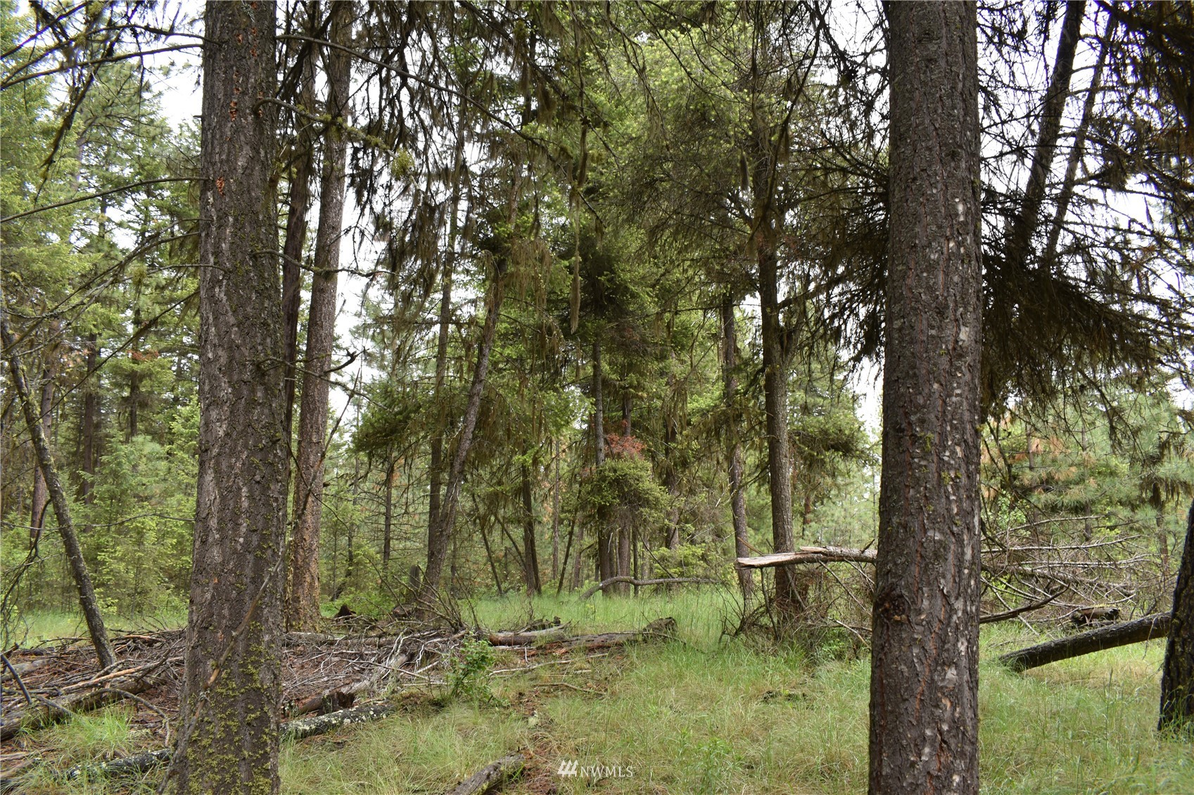 12-lot Turtle Run Road Tonasket, WA 98855 - Photo 17 of 40 a view of outdoor space and yard