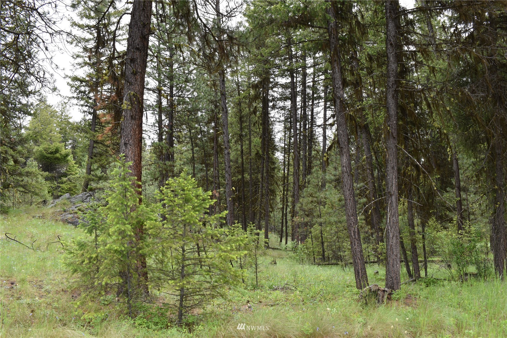 12-lot Turtle Run Road Tonasket, WA 98855 - Photo 24 of 40 a view of outdoor space and green space