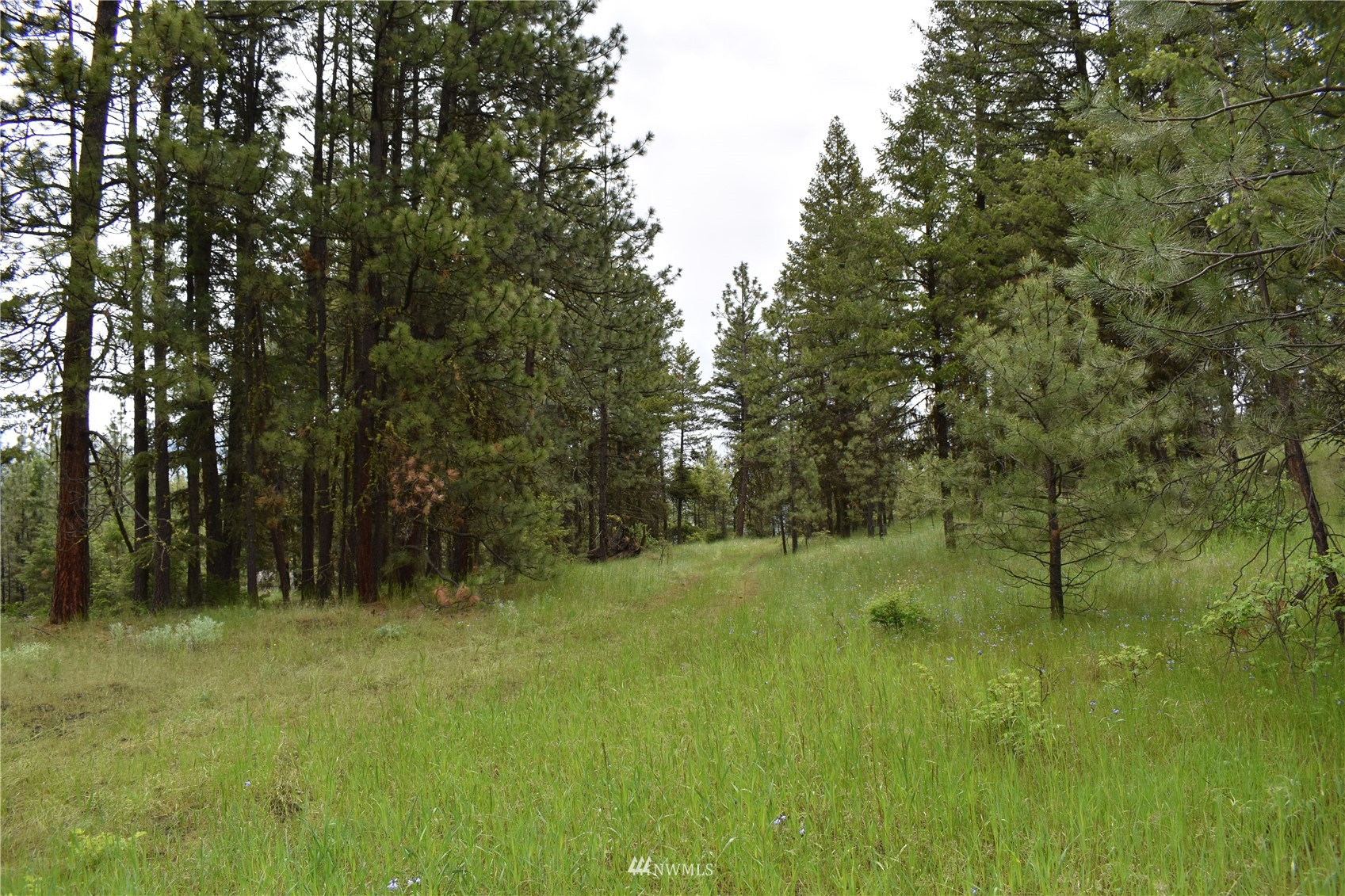 12-lot Turtle Run Road Tonasket, WA 98855 - Photo 26 of 40 a view of outdoor space with green field and trees all around