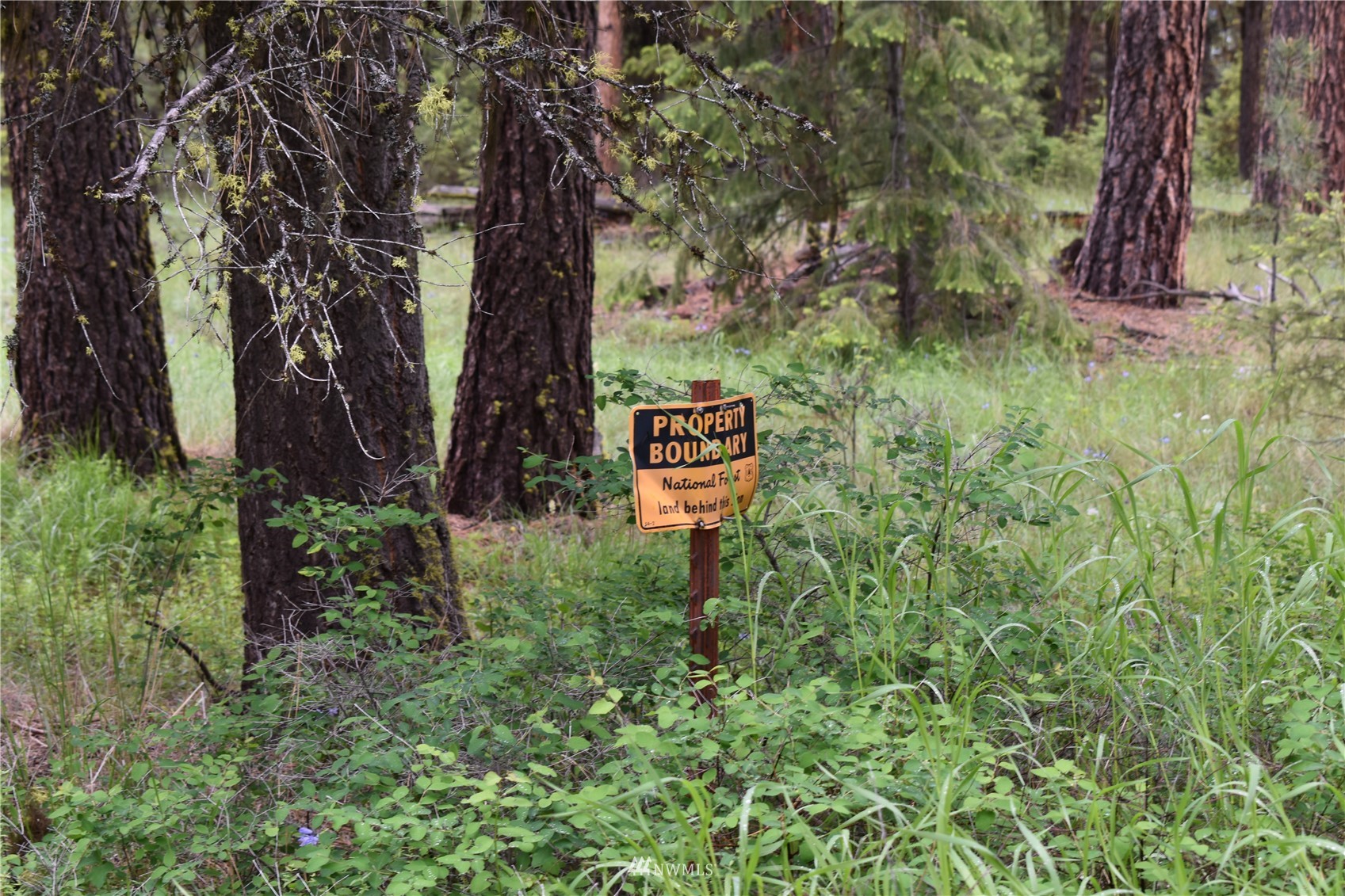 12-lot Turtle Run Road Tonasket, WA 98855 - Photo 31 of 40 a backyard of a house with lots of green space