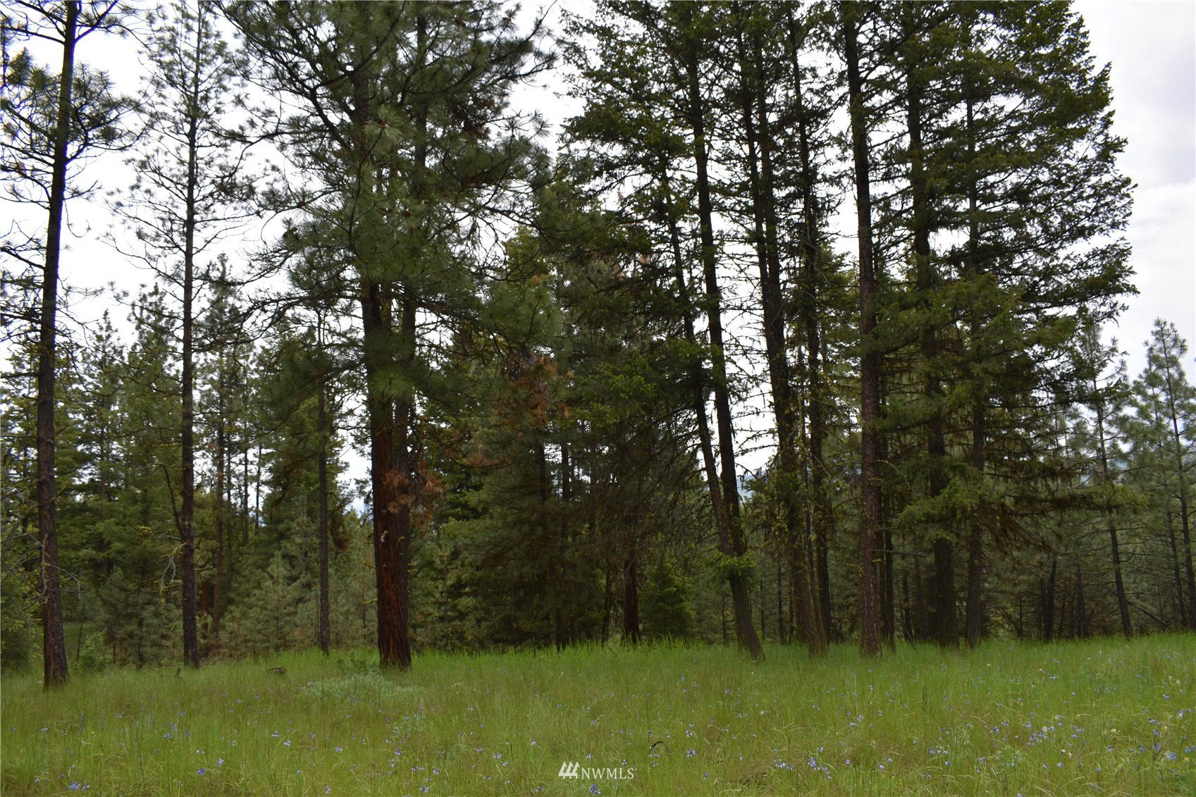 12-lot Turtle Run Road Tonasket, WA 98855 - Photo 33 of 40 a view of backyard with green space