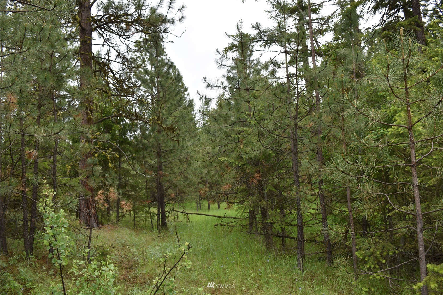 12-lot Turtle Run Road Tonasket, WA 98855 - Photo 36 of 40 a view of lake with green space