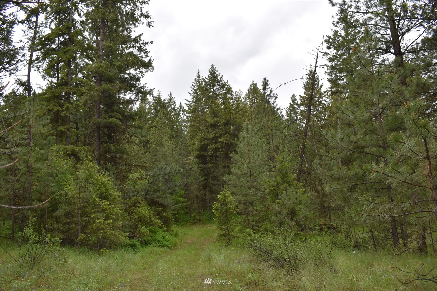 12-lot Turtle Run Road Tonasket, WA 98855 - Photo 37 of 40 a view of a field of grass and trees