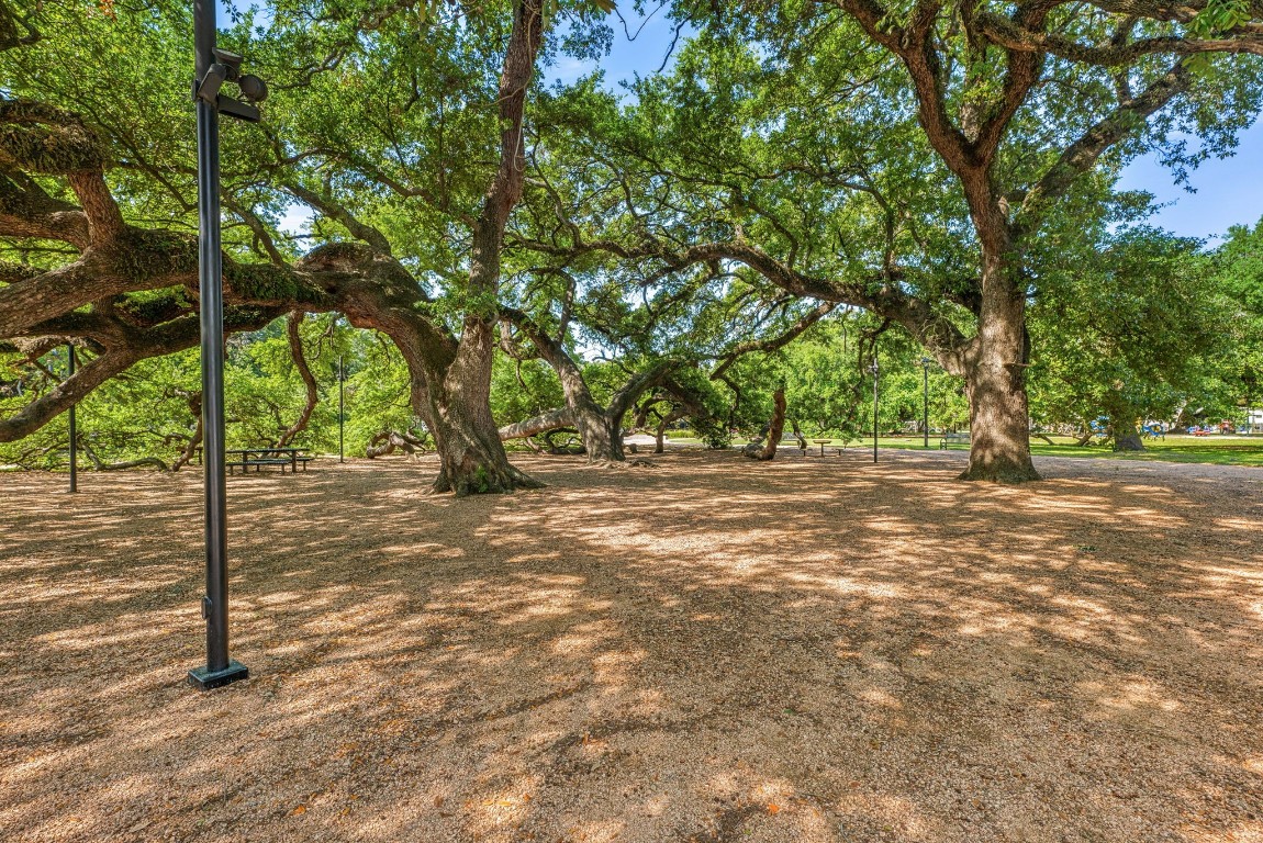 2937 Jackson Street Houston, TX 77004 - Photo 27 of 28 a view of outdoor space with trees