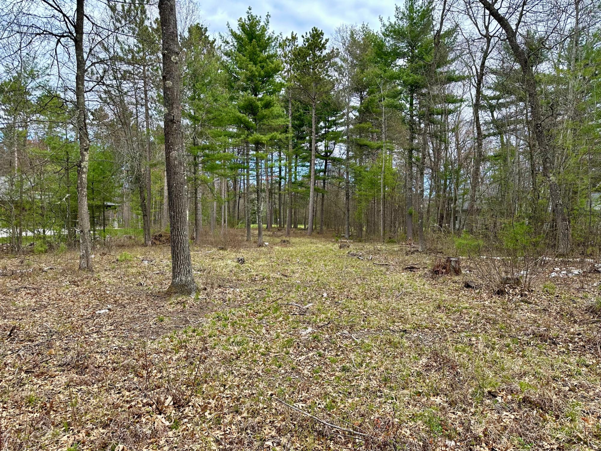 Lot 15 Schlising Road Tomahawk, WI 54487 - Photo 9 of 19 Gallery Image 9