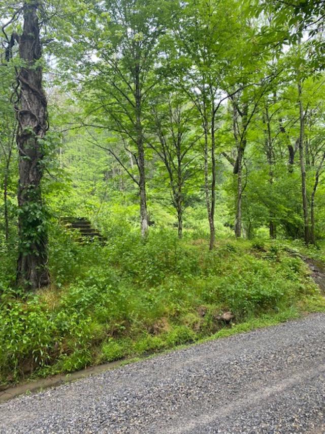 Tbd Clito Road, Unit 38A5 Fries, VA 24330 - Photo 1 of 1 Gallery Image 1