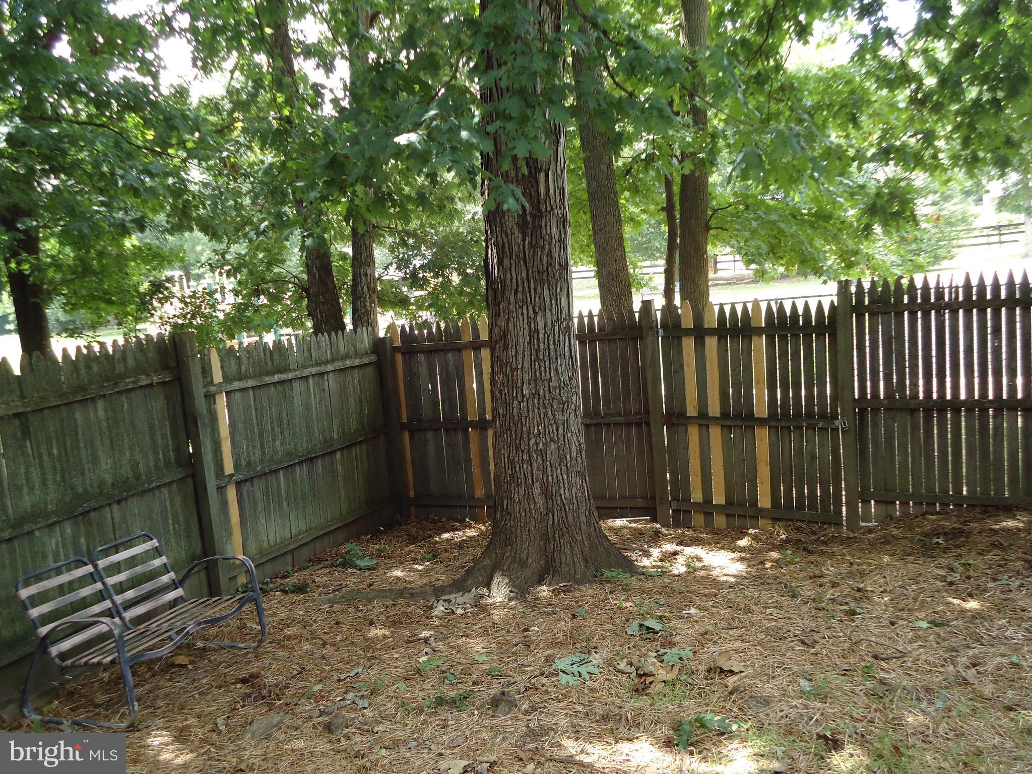 920 Anvil Road Fredericksburg, VA 22405 - Photo 15 of 15 Exterior (Rear)