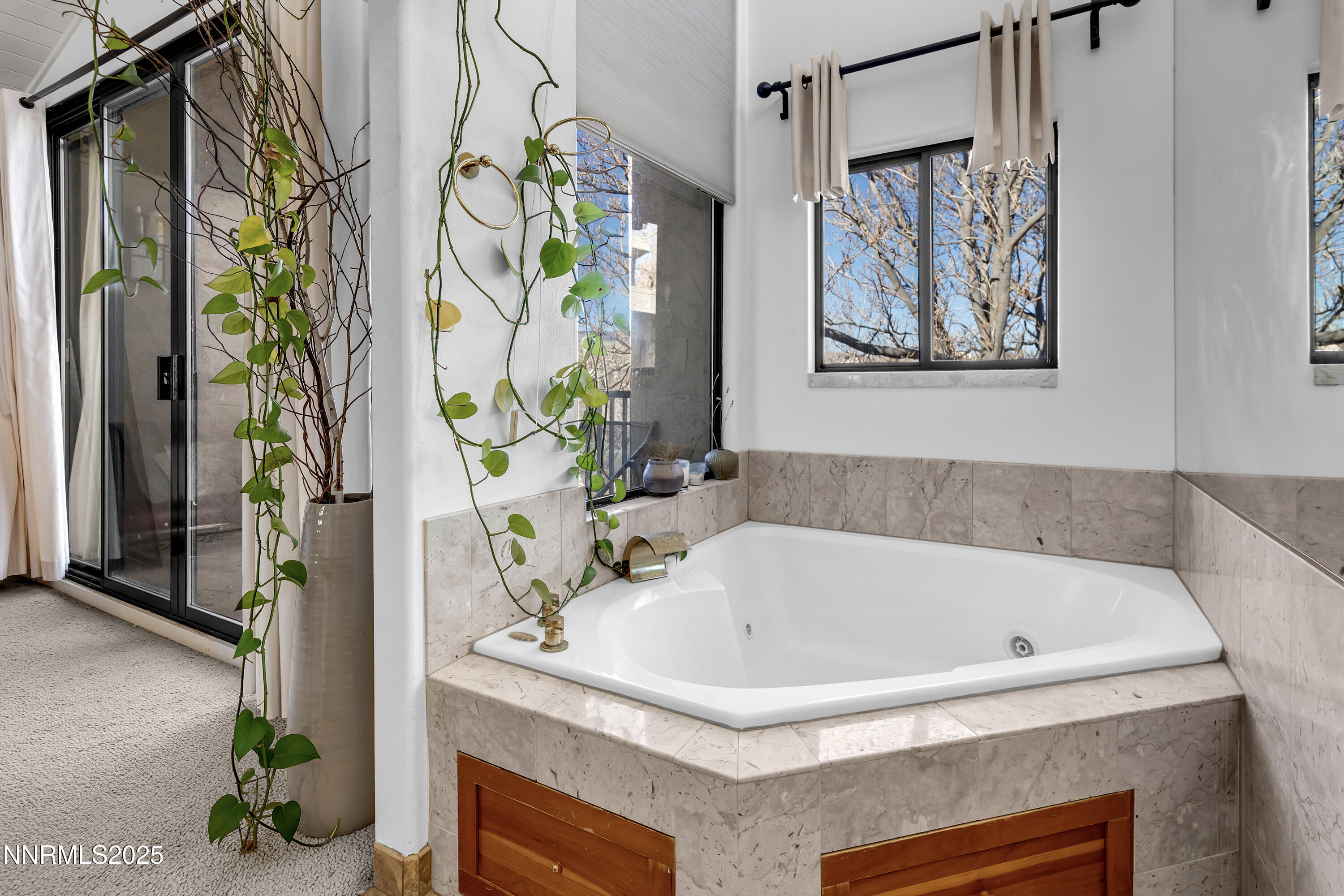 512 Island Avenue Reno, NV 89501 - Photo 23 of 30 a bathroom with a tub and potted plant