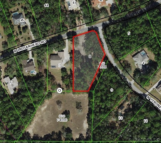3817 North Indianhead Road Hernando, FL 34442 - Photo 2 of 4