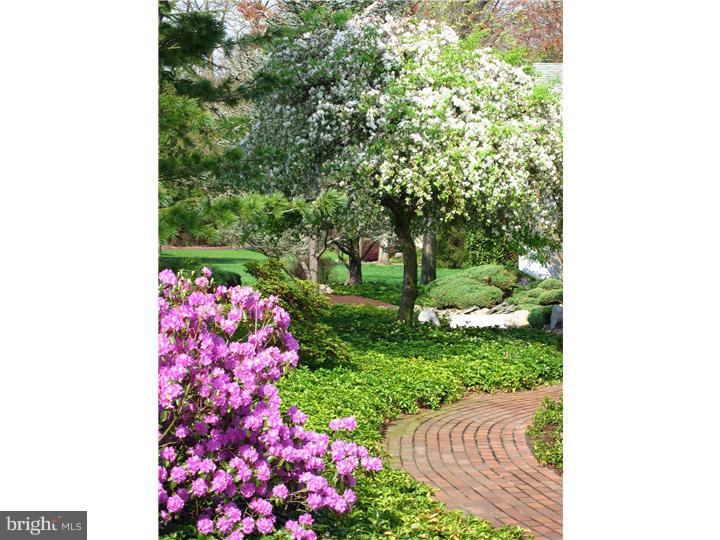 881 Cox Road Moorestown, NJ 08057 - Photo 19 of 19