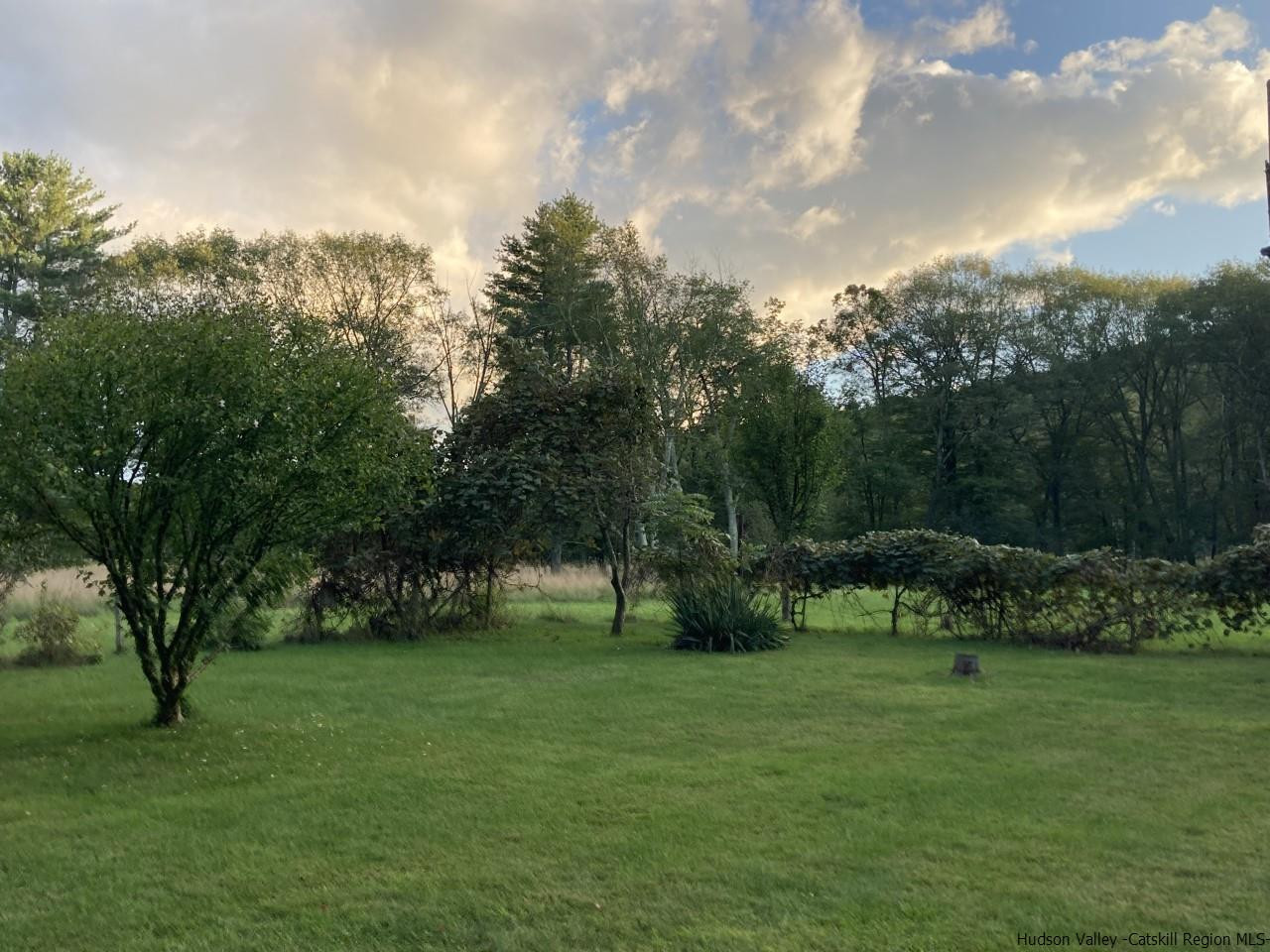 145 Sportsman Road Napanoch, NY 12458 - Photo 29 of 31 a view of a park with large trees