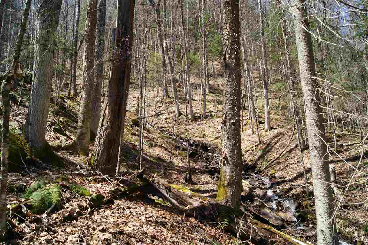0 Bishop Brook Road Stewartstown, NH 03576 - Photo 3 of 6