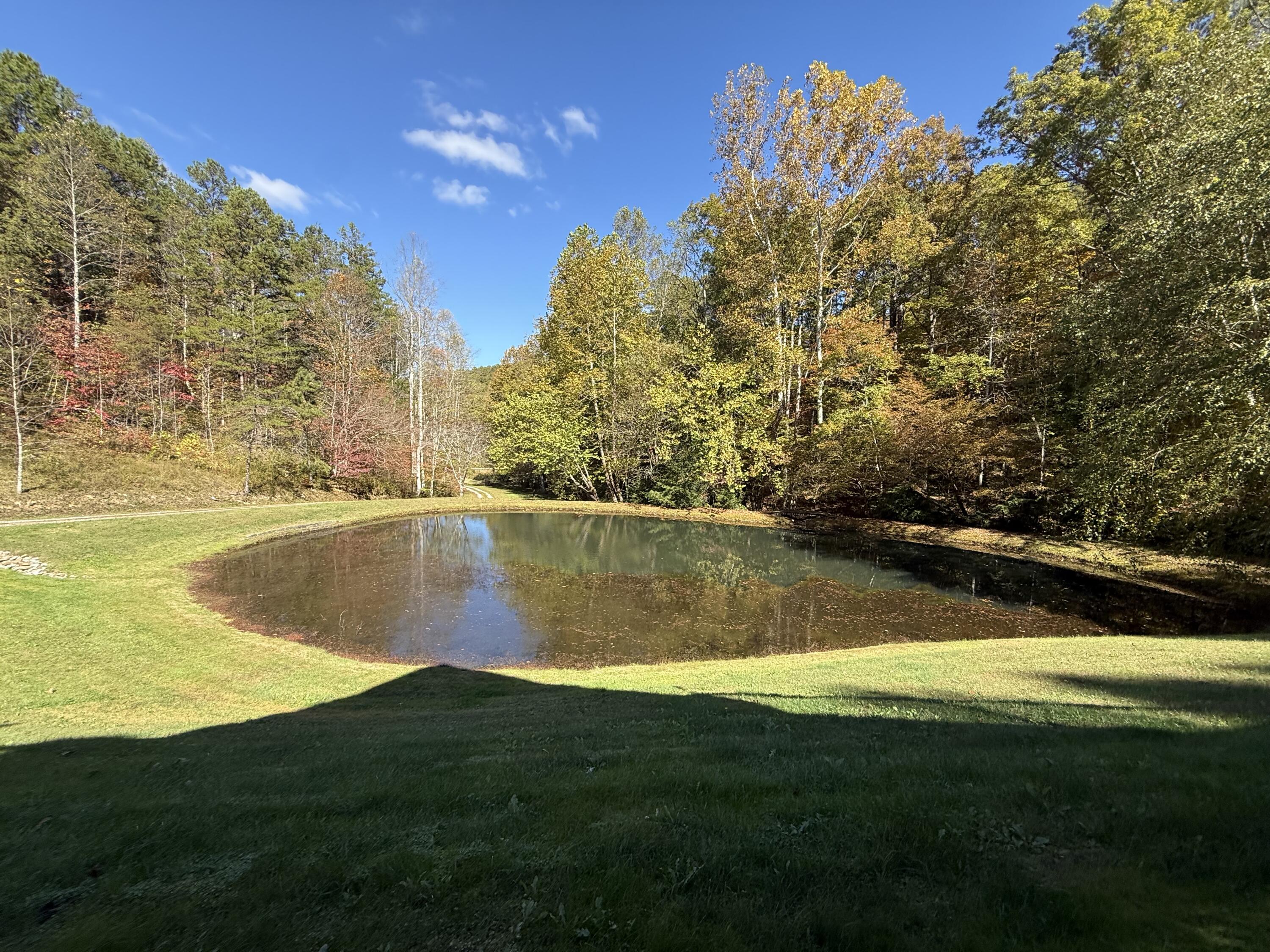 1040 Red Hill Road Livingston, KY 40445 - Photo 12 of 49 IMG_1285