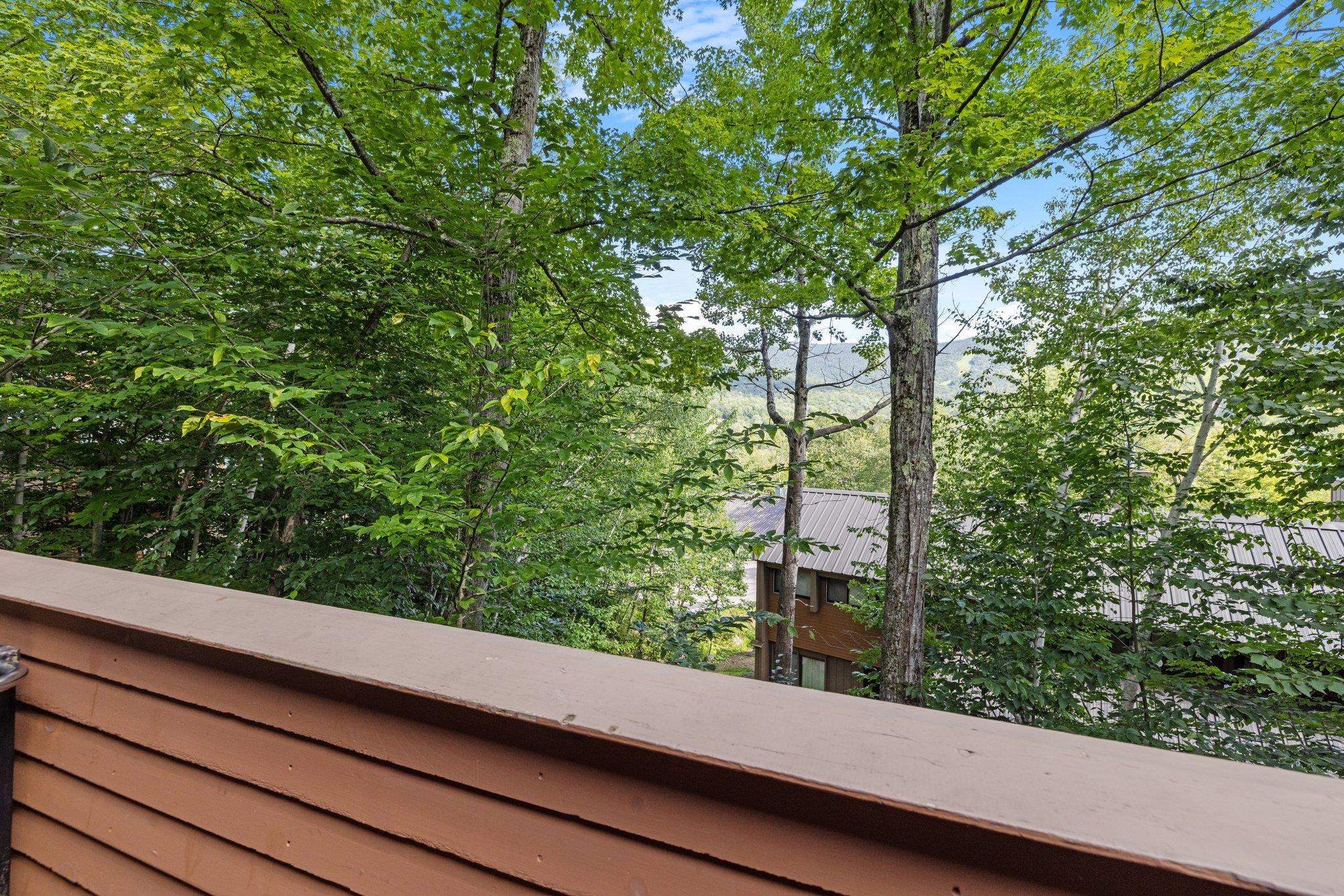 37 Whaleback Road, Unit 3 Lincoln, NH 03251 - Photo 10 of 39