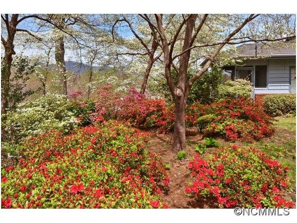 165 Woodland Road Tryon, NC 28782 - Photo 15 of 17