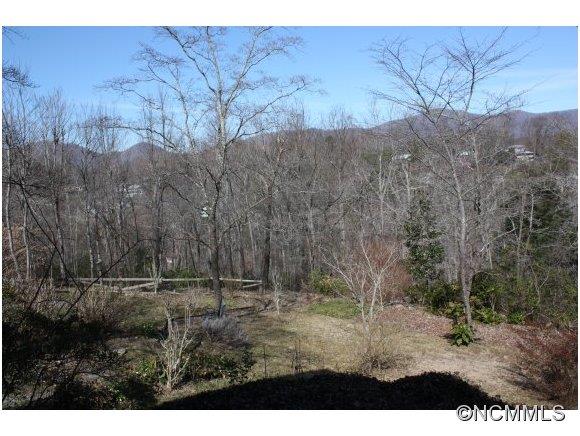 165 Woodland Road Tryon, NC 28782 - Photo 17 of 17