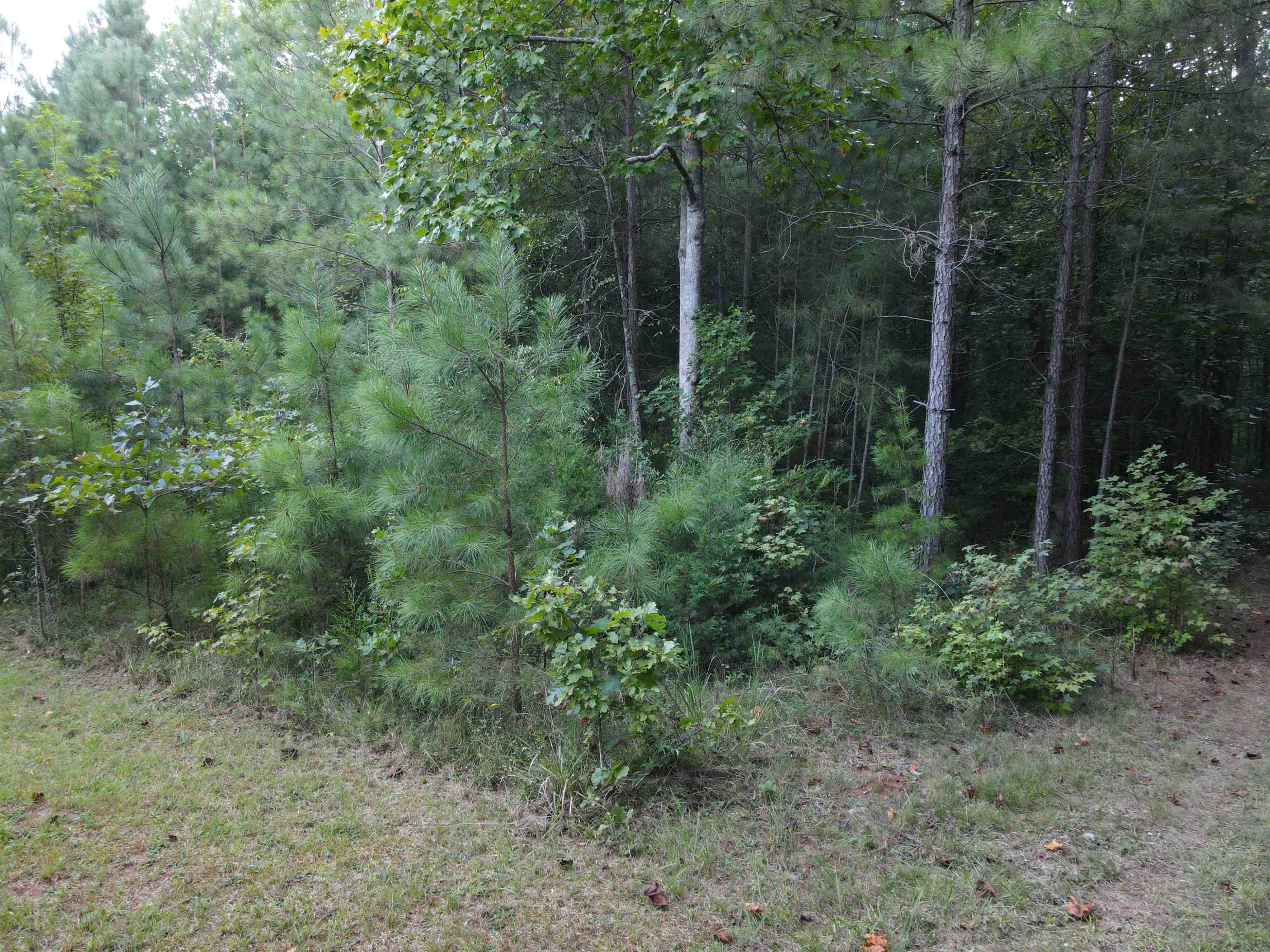 Creedmoor Road Wake Forest, NC 27587 - Photo 23 of 38 Photo 23