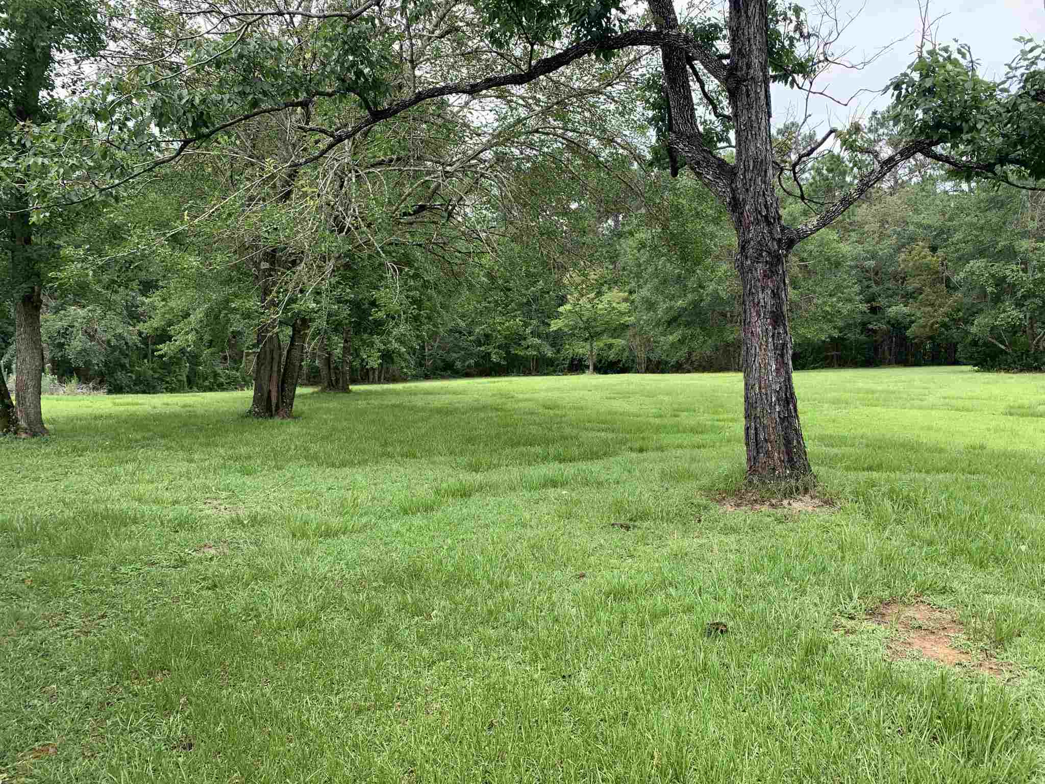 29735 County Road 65 Loxley, AL 36551 - Photo 8 of 24