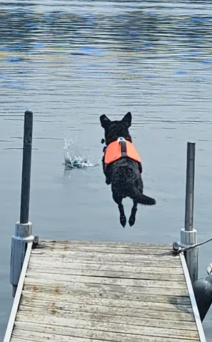 $469,000 | 1148 Lakeview Drive, Walled Lake, MI 48390