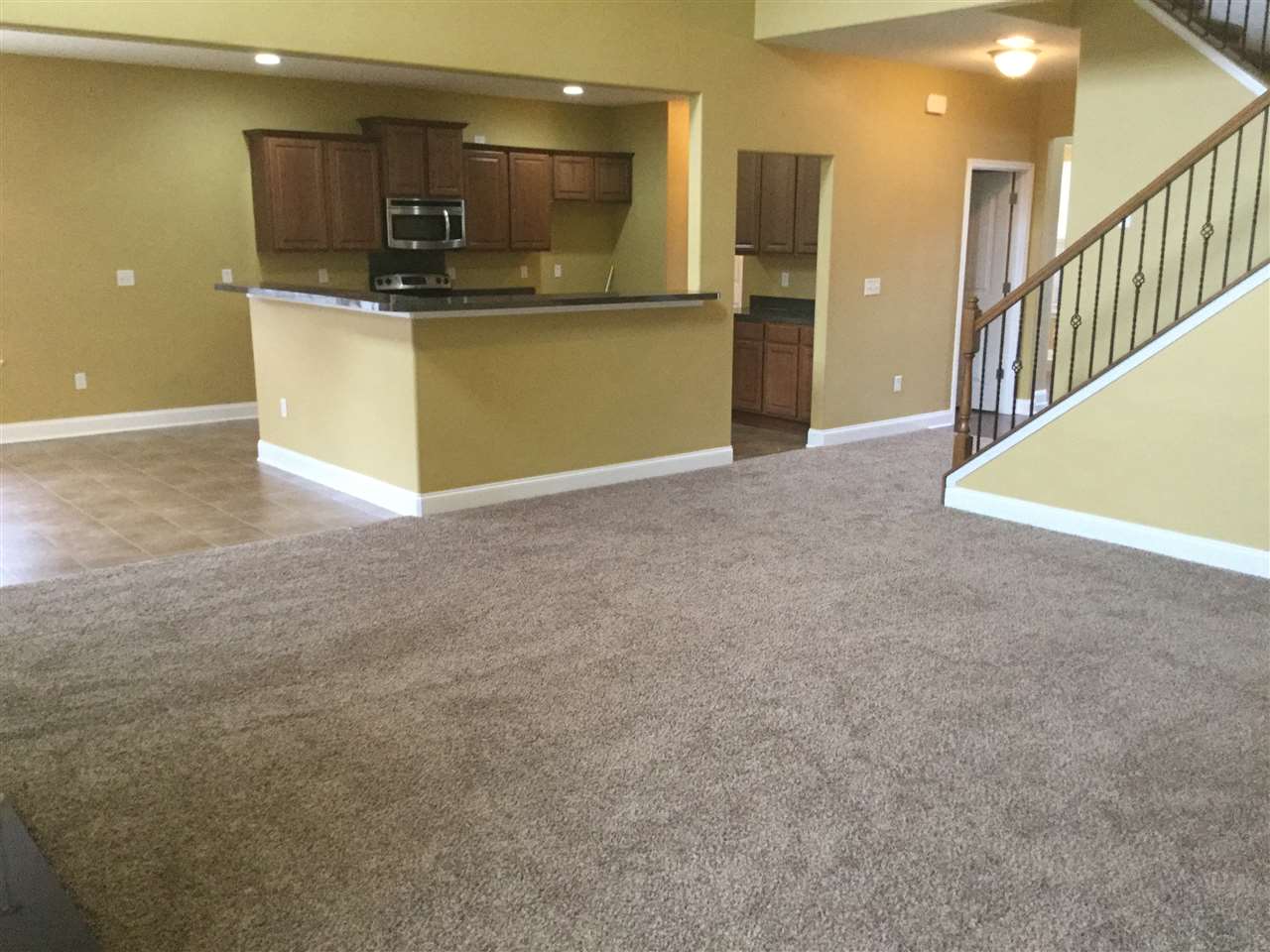 352 Archway Court Moore, SC 29369 - Photo 8 of 24
